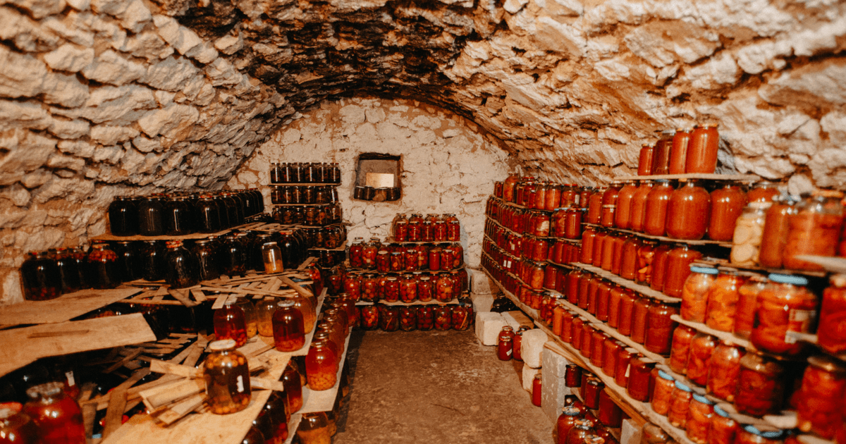 Blattes Noires de Cave : S'en Débarrasser (Guide 2026)