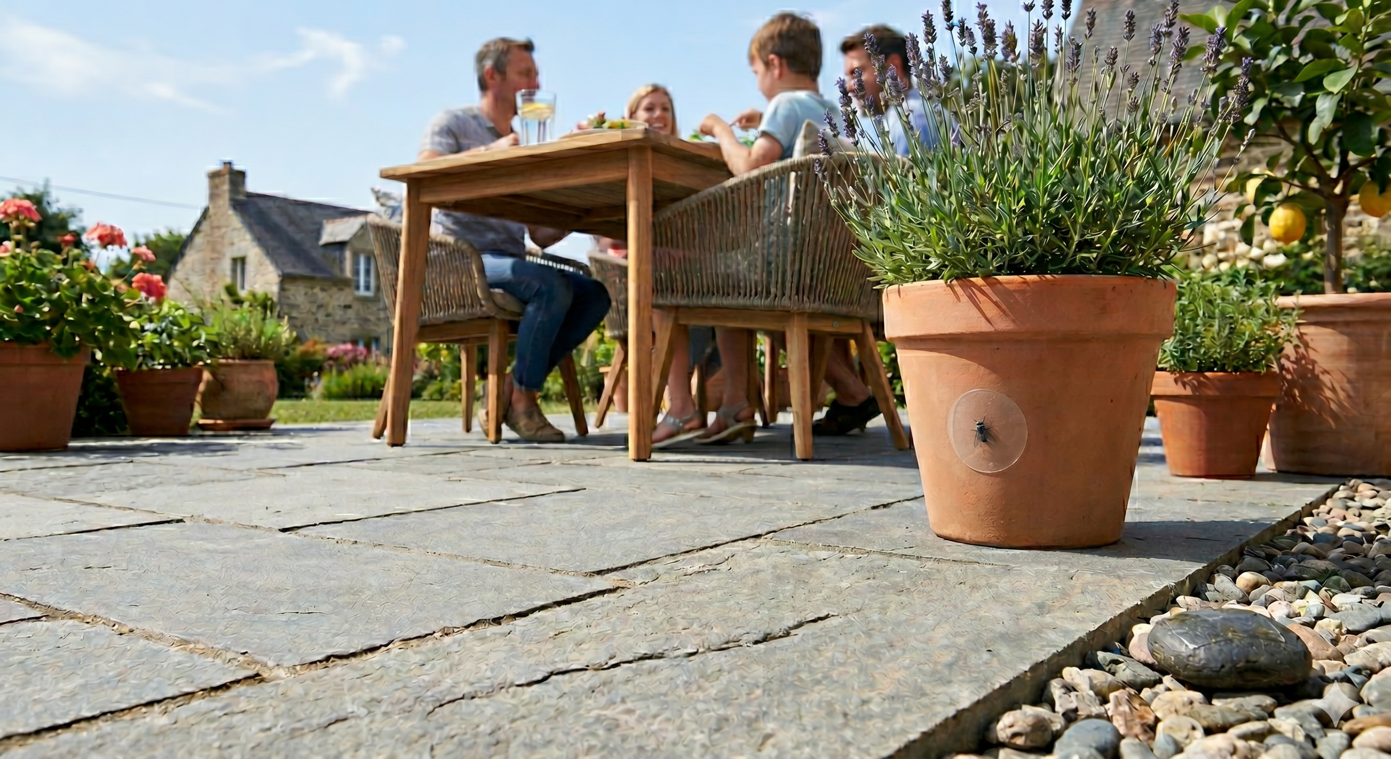 Pièges mouches discrets pour terrasse : ma sélection pour manger enfin tranquille (2026)